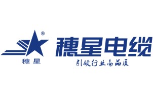 廣州電纜：院士專家支招德陽電線電纜及裝備工業(yè)：“提質引智