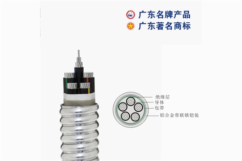 如何區(qū)分珠江電纜的質量?